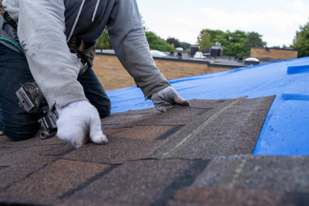 Best Gutter Installation and Roofing  in Huxley, IA